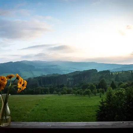 Kopanice Hotel 4*