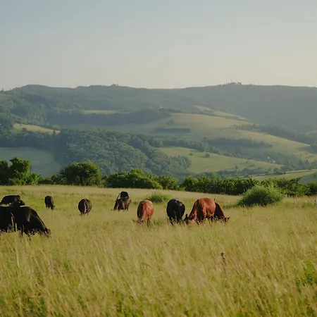 Kopanice Otel Žitková