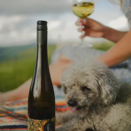 Kopanice Otel Žitková