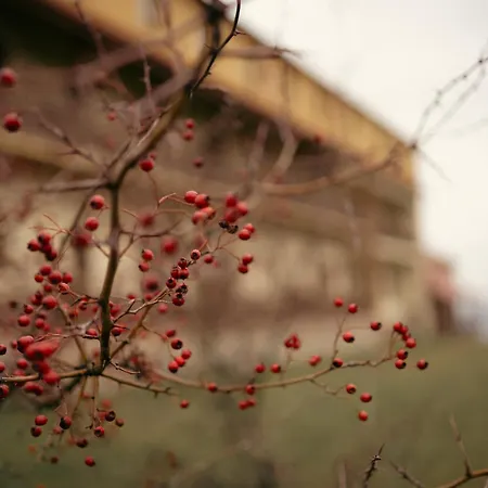 Kopanice 4* Žitková