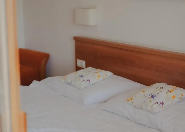 Otel Kopanice 4*